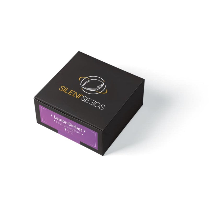 Lemon Sorbet Fotoperiodi