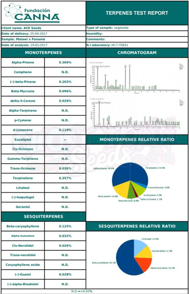 Malawi X Panama Fotoperiodi