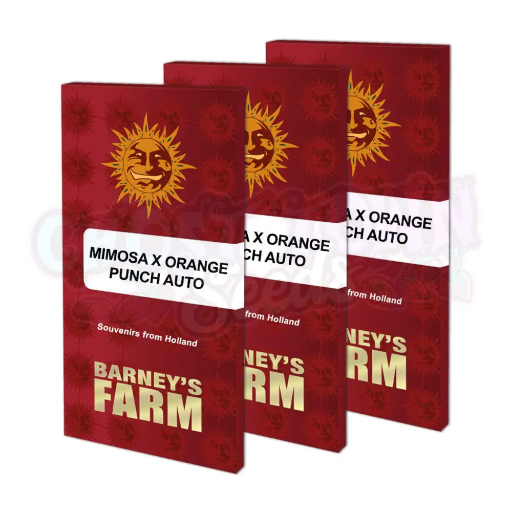 Mimosa x Orange Punch Auto Kannabiksen Siemenet - Barneys Farm