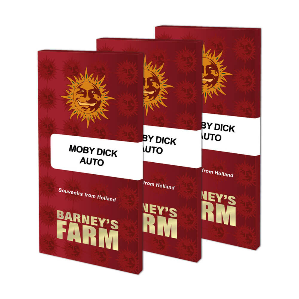 Moby Dick Auto Kannabiksen Siemenet - Barneys Farm