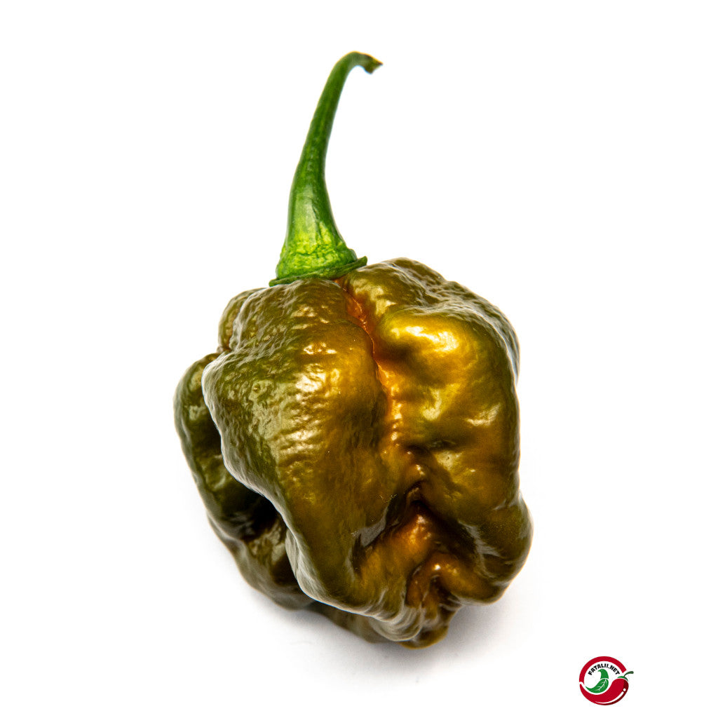 Fatalii - Moruga Green chilit