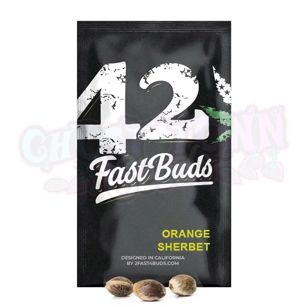 Orange Sherbet Auto Autoflower