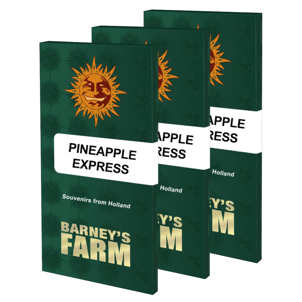 Pineapple Express Fotoperiodi