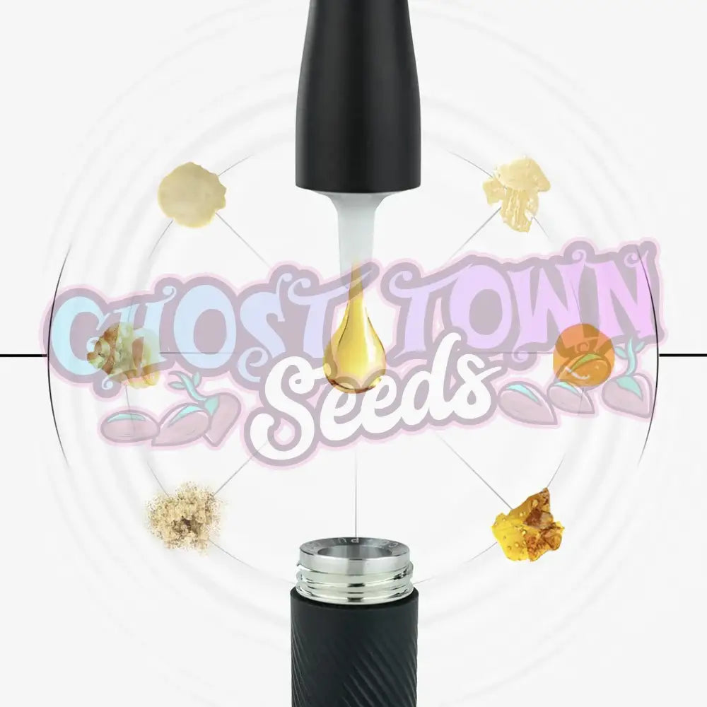 Puffco - Plus Pearl Vaporisaattorit