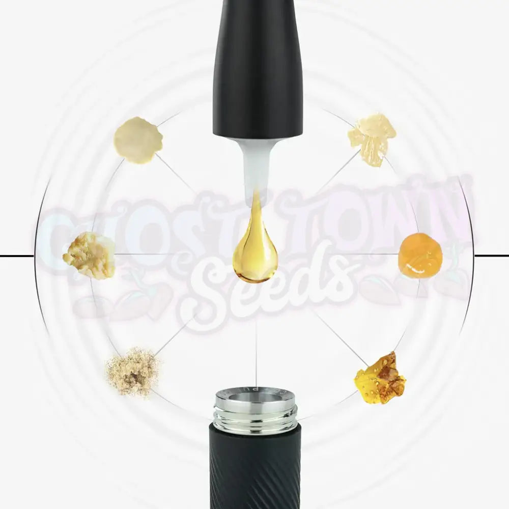 Puffco - Plus Pearl Vaporisaattorit