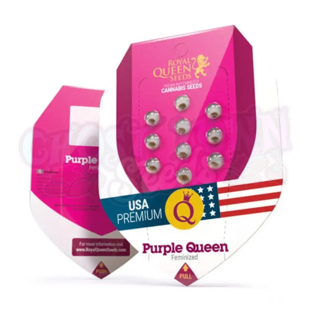 Purple Queen Kannabiksen Siemenet - Royal Queen Seeds