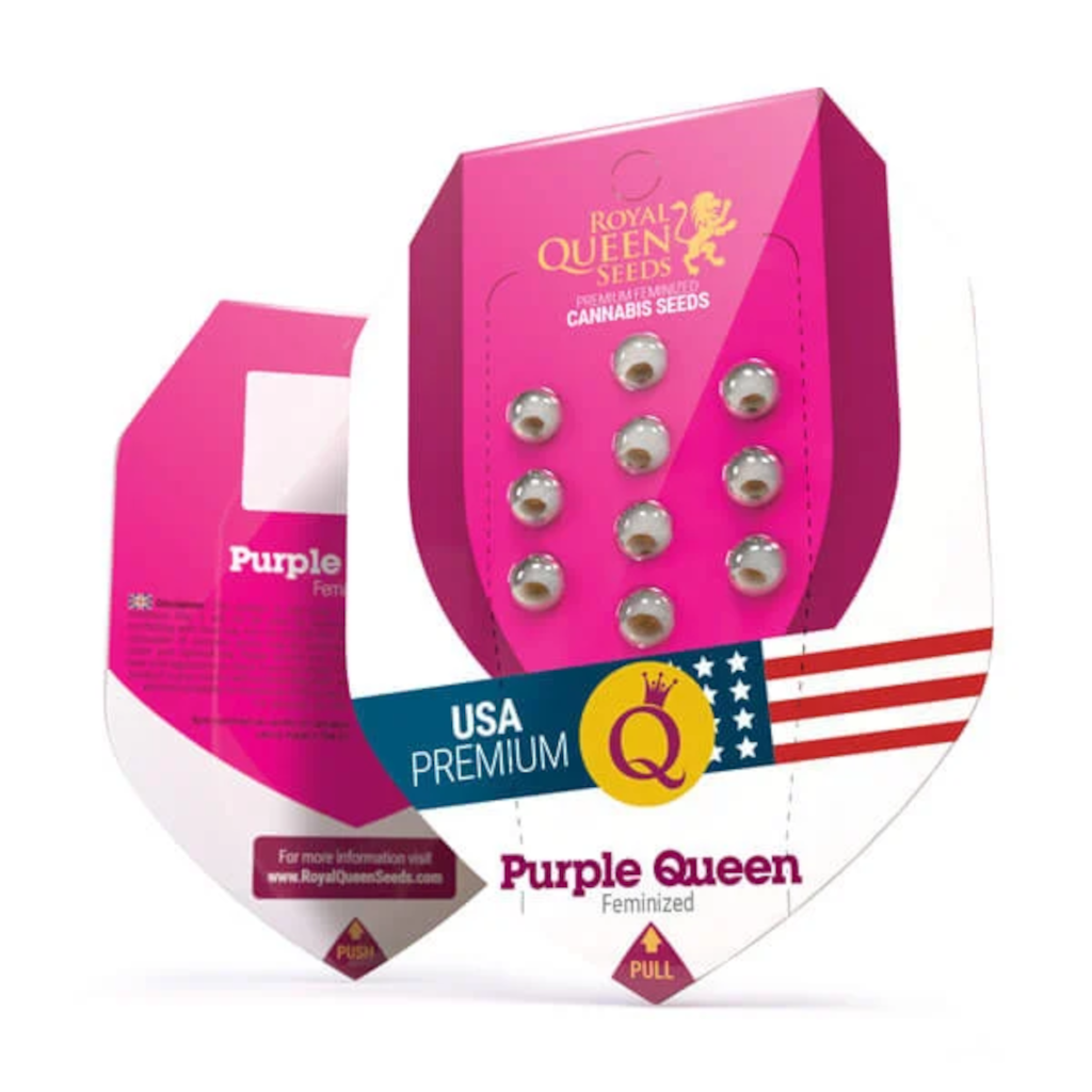 Purple Queen Kannabiksen Siemenet - Royal Queen Seeds