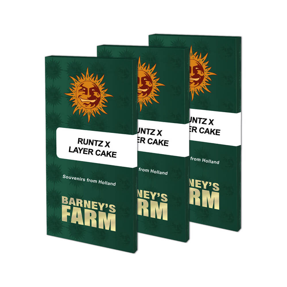 Runtz x Layer Cake Kannabiksen Siemenet - Barneys Farm