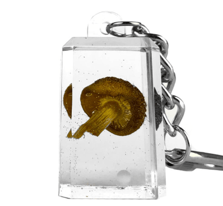 Sieni Avaimenperä - Ghost Town Seeds