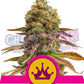 Special Queen #1 - Ghost Town Seeds