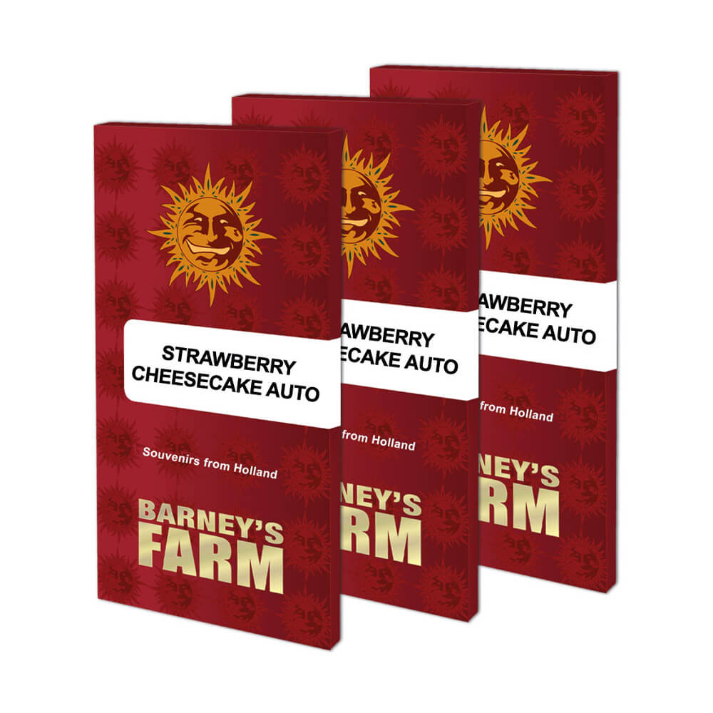 Strawberry Cheesecake Auto Kannabiksen Siemenet - Barneys Farm