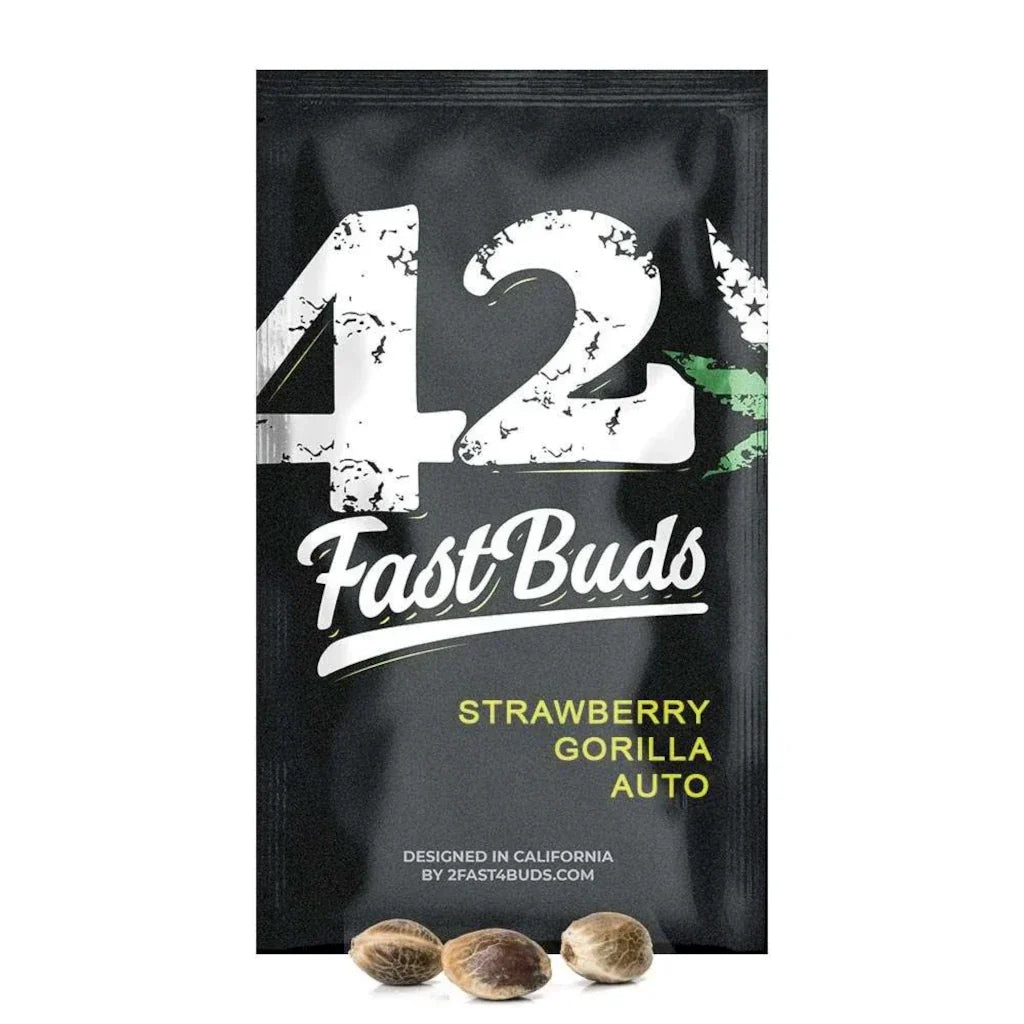 Strawberry Gorilla Auto Autoflower