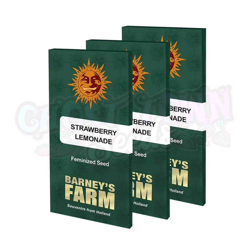 Strawberry Lemonade Kannabiksen Siemenet - Barneys Farm