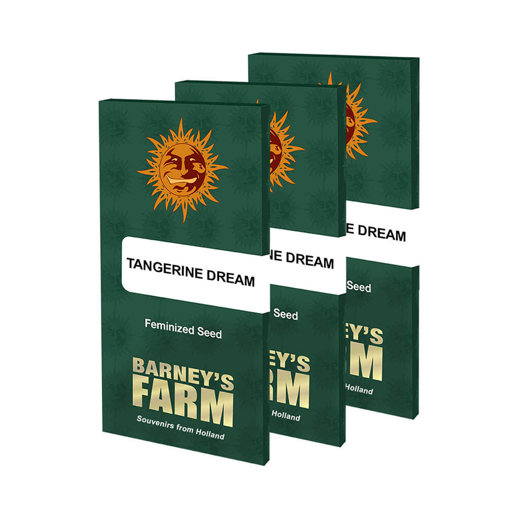 Tangerine Dream Kannabiksen Siemenet - Barneys Farm