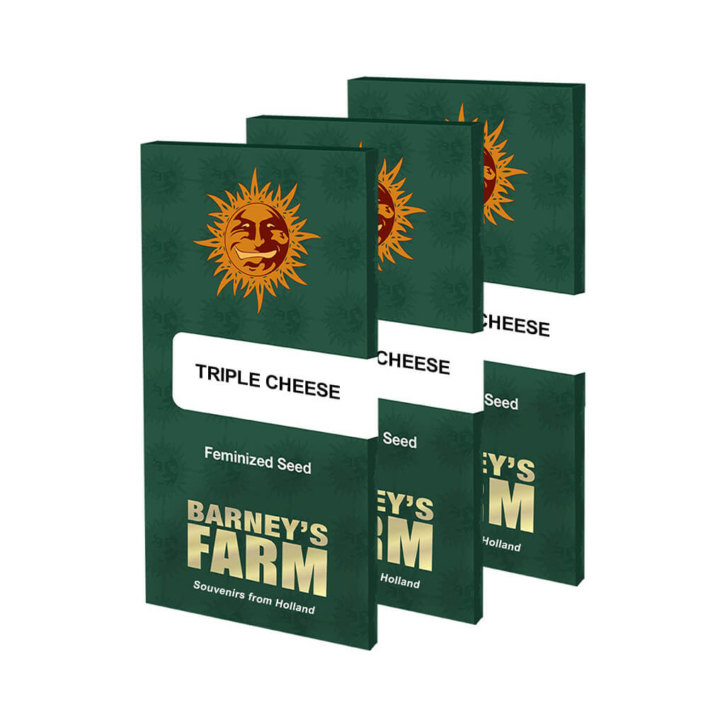 Triple Cheese Kannabiksen Siemenet - Barneys Farm