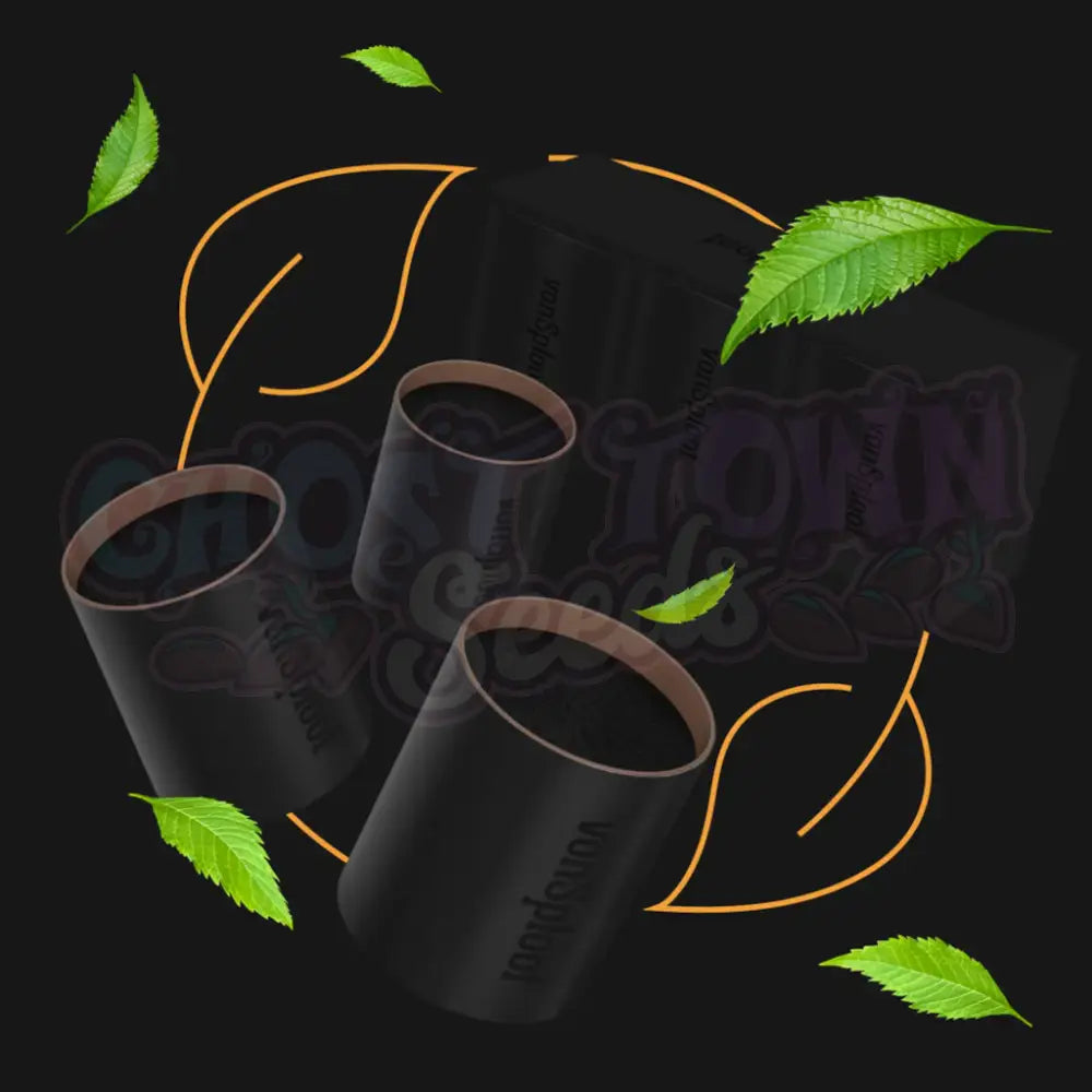 vonSploof - Vaihtosuodattimet (3 kpl) Hajunpoistajat