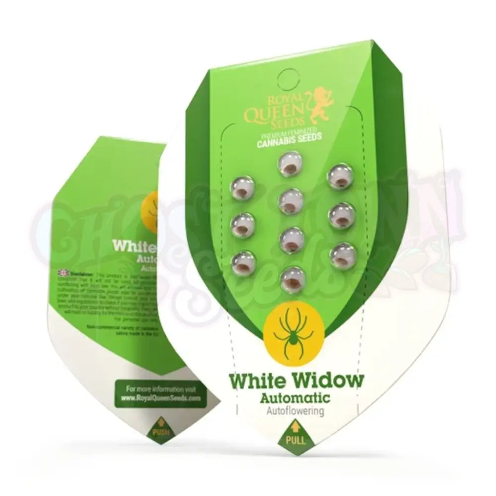 White Widow Auto Kannabiksen Siemenet - Royal Queen Seeds