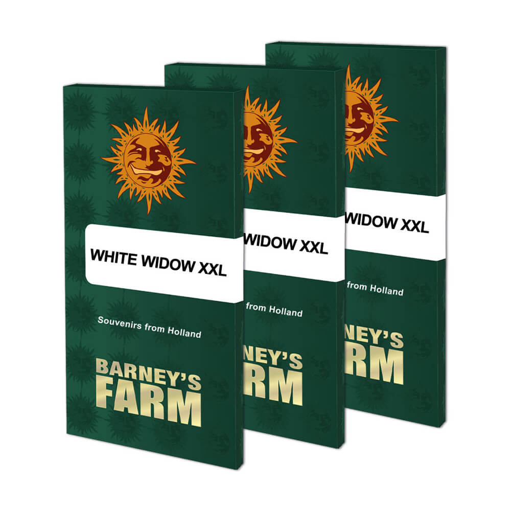 White Widow XXL Kannabiksen Siemenet - Barneys Farm