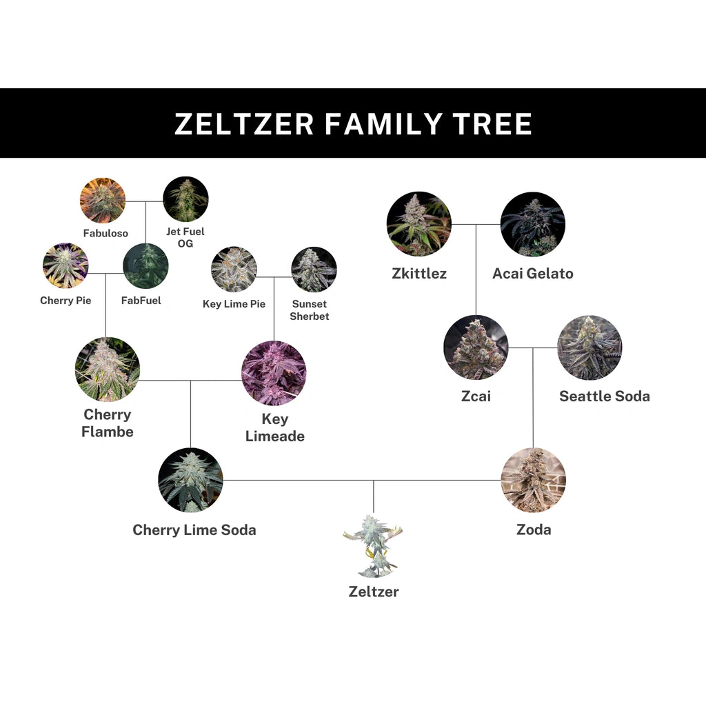 Zeltzer